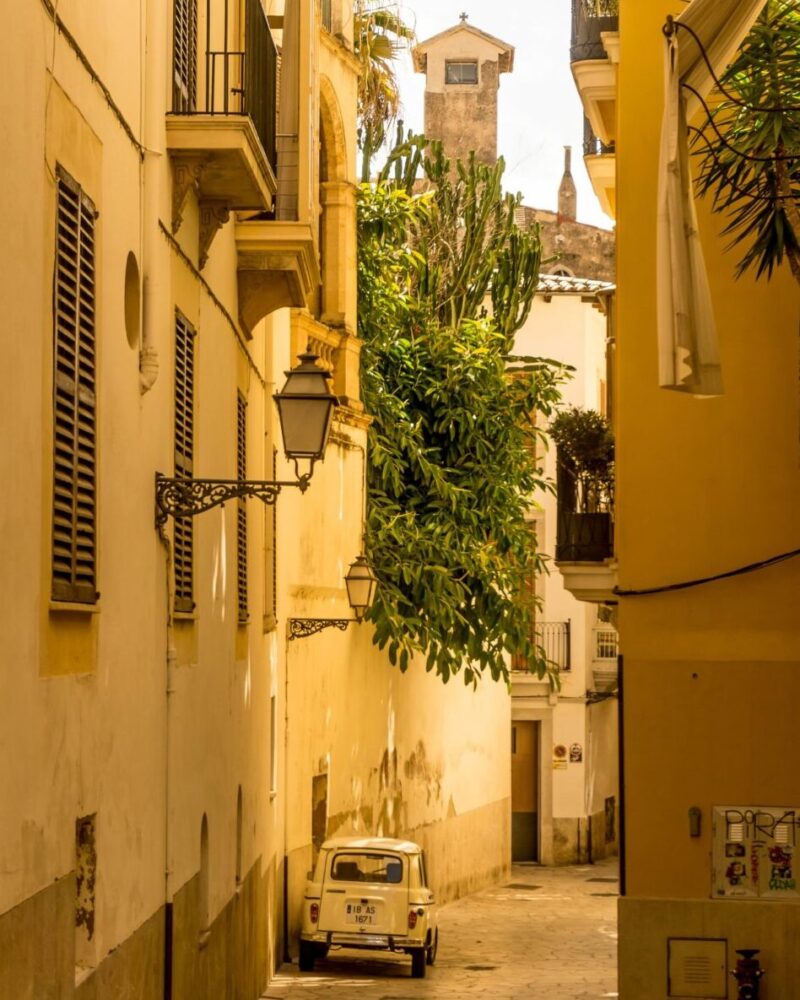 Prácticas en Islas Baleares,Palma de Mallorca