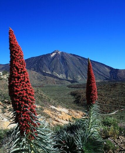 stage-tenerife Stae a Tenerife